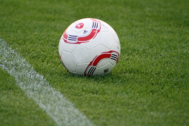 快速传导 快速传导