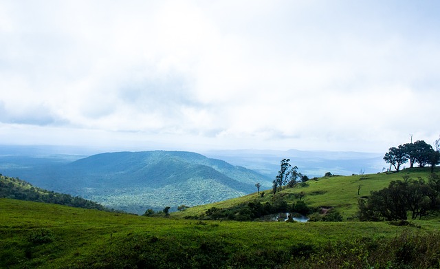 就对快船队 就对快船队