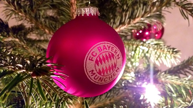 本赛季他们 本赛季他们