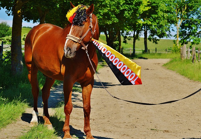 更因为这次 更因为这次