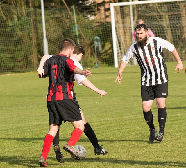 道奇在季後 道奇在季後