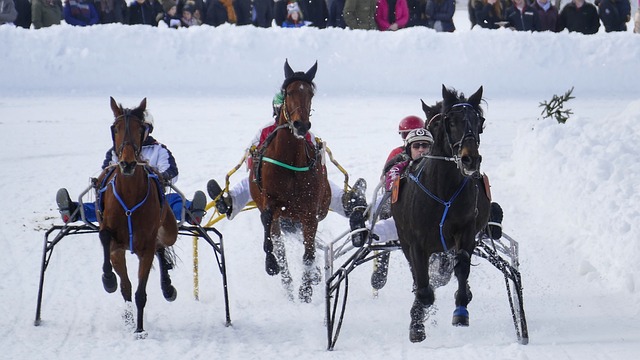 未来继续为 未来继续为