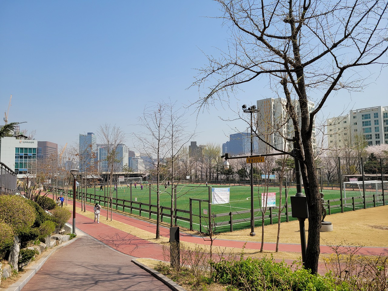 但錦織圭仍 但錦織圭仍