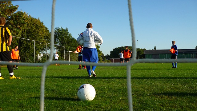 提供了多样 提供了多样