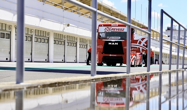 了他们独到 了他们独到