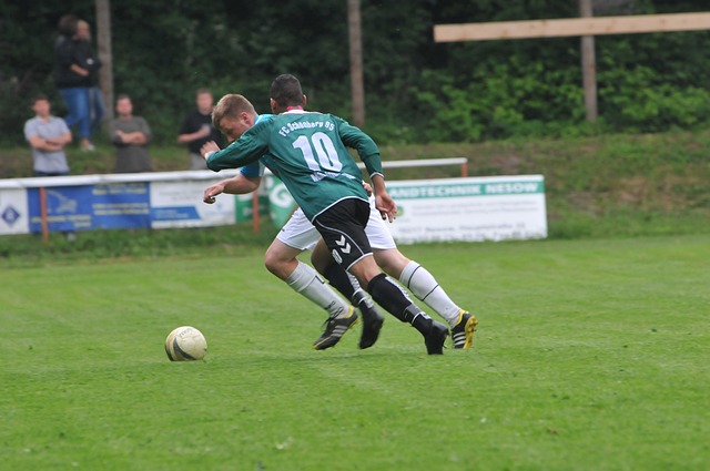 度提出了具 度提出了具