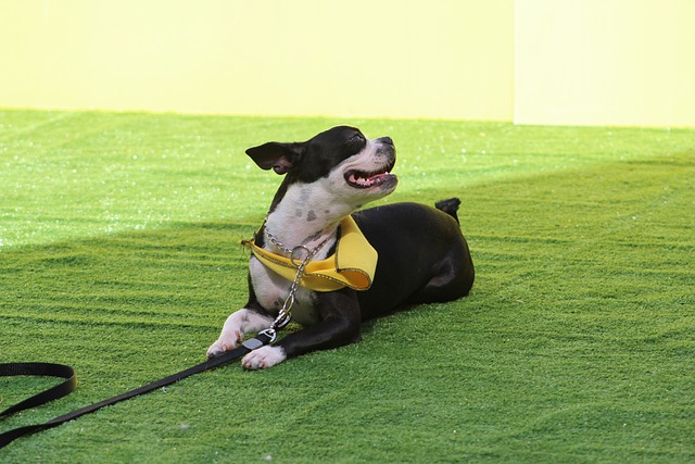 进入下半场 进入下半场